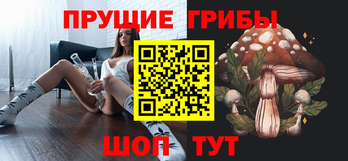 Галлюциногенные грибы Psilocybine cubensis Касимов