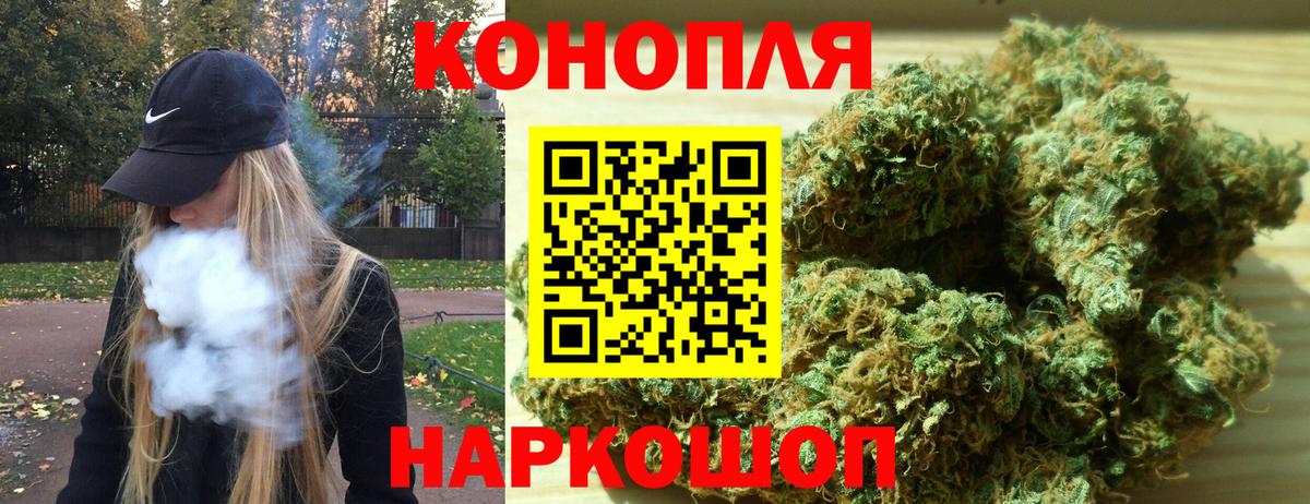 Бошки Шишки сатива Касимов